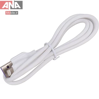کابل فست شارژ لايتينگ  اسکاي دلفين مدل Sky Dolphin S56L 5A 1m