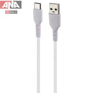 شارژر ديواري 12 وات + کابل تايپ سي اسکاي دلفين مدل Sky Dolphin SC03T