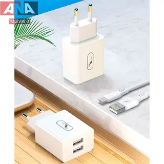 شارژر ديواري 10.5 وات + کابل تايپ سي اسکاي دلفين مدل Sky Dolphin SC30T